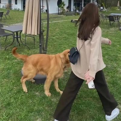 烽火雁翎